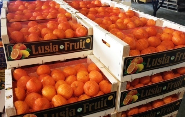 Особенности транспортировки и хранения цитрусовых плодов | Нарт Официальный  Сайт